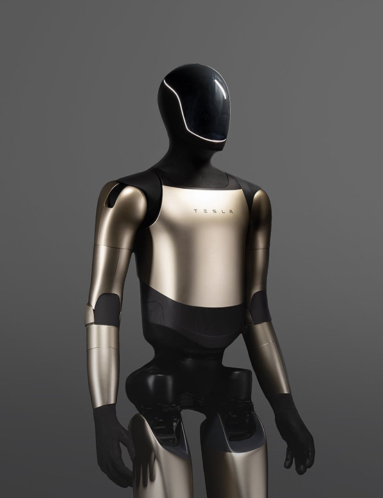 HUMANOID ROBOT reference 4