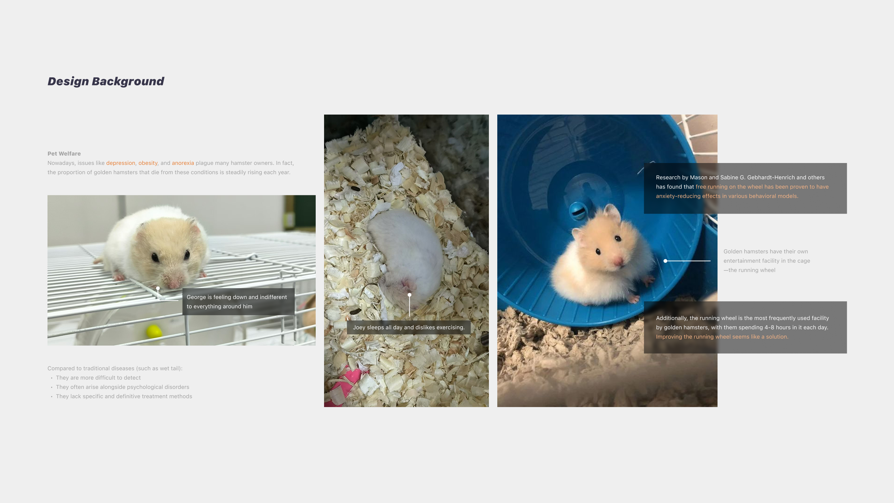 Design background board with the illustrated hamsters George and Joey, pet-welfare statistics, and research notes on the anxiety-reducing effects of free running on a wheel.